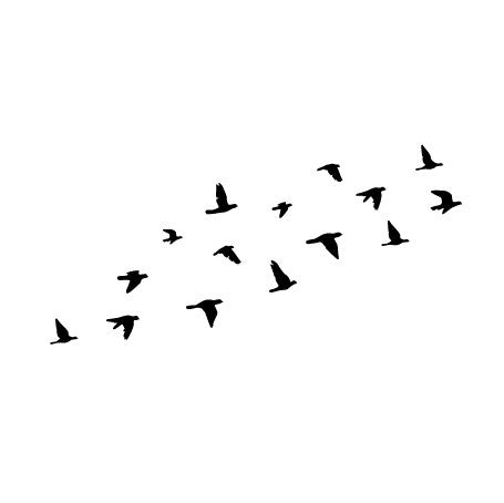 flock of flying birds wall decal design